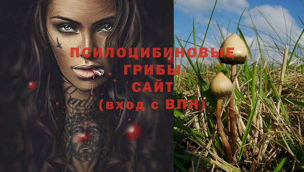 кристаллы Алзамай